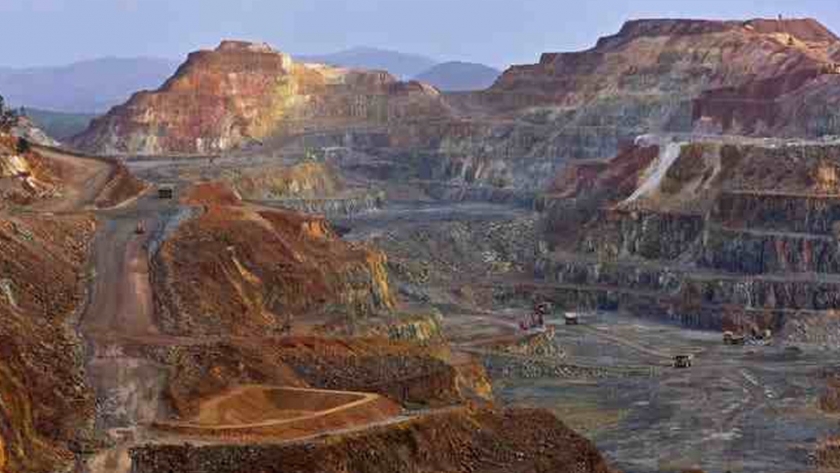 Cómo utilizar plantas y estiércol para extraer minerales de los suelos contaminados