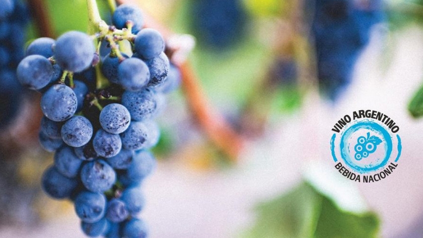 2020 un gran año para las exportaciones argentinas de vino