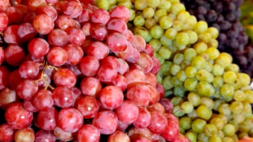 Se llevará a cabo el curso Mercados de futuros para la cobertura agropecuaria