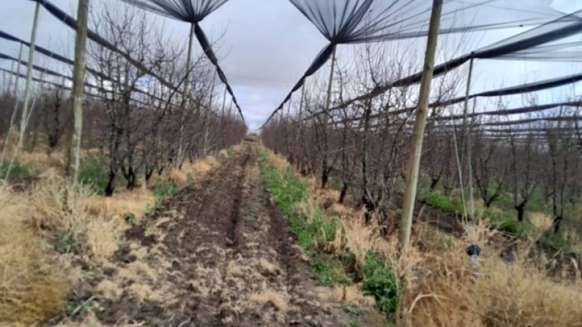 Créditos para la instalación de malla antigranizo