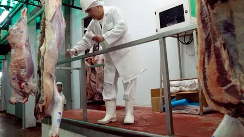 Carne: frigoríficos advierten que cualquier intervención en el mercado provocará efectos distorsivos