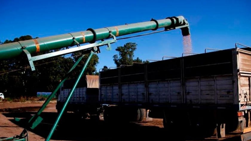 Apoyo provincial para aumentar la producción de la Cooperativa