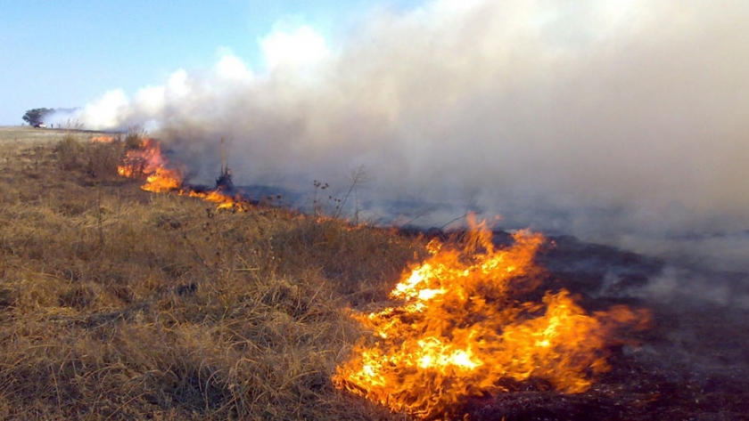 Defensa Civil y Bomberos controlaron un incendio en Santa Rosa