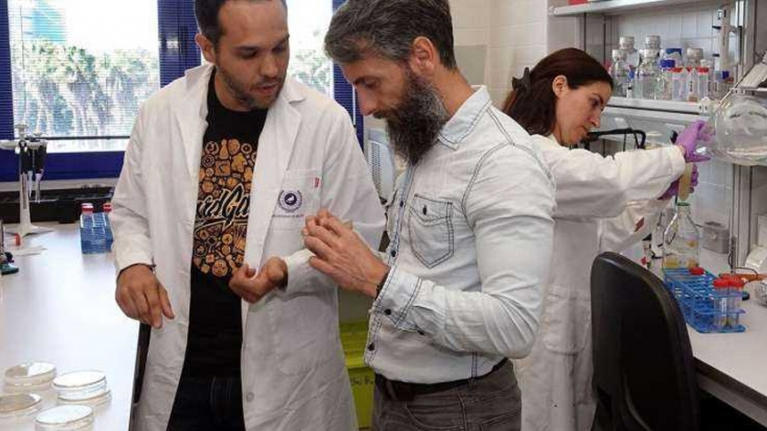 Las nuevas funciones de una proteína pueden mejorar los métodos de biocontrol en la agricultura sostenible