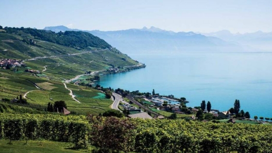Suiza: la región vitivinícola favorita de Europa