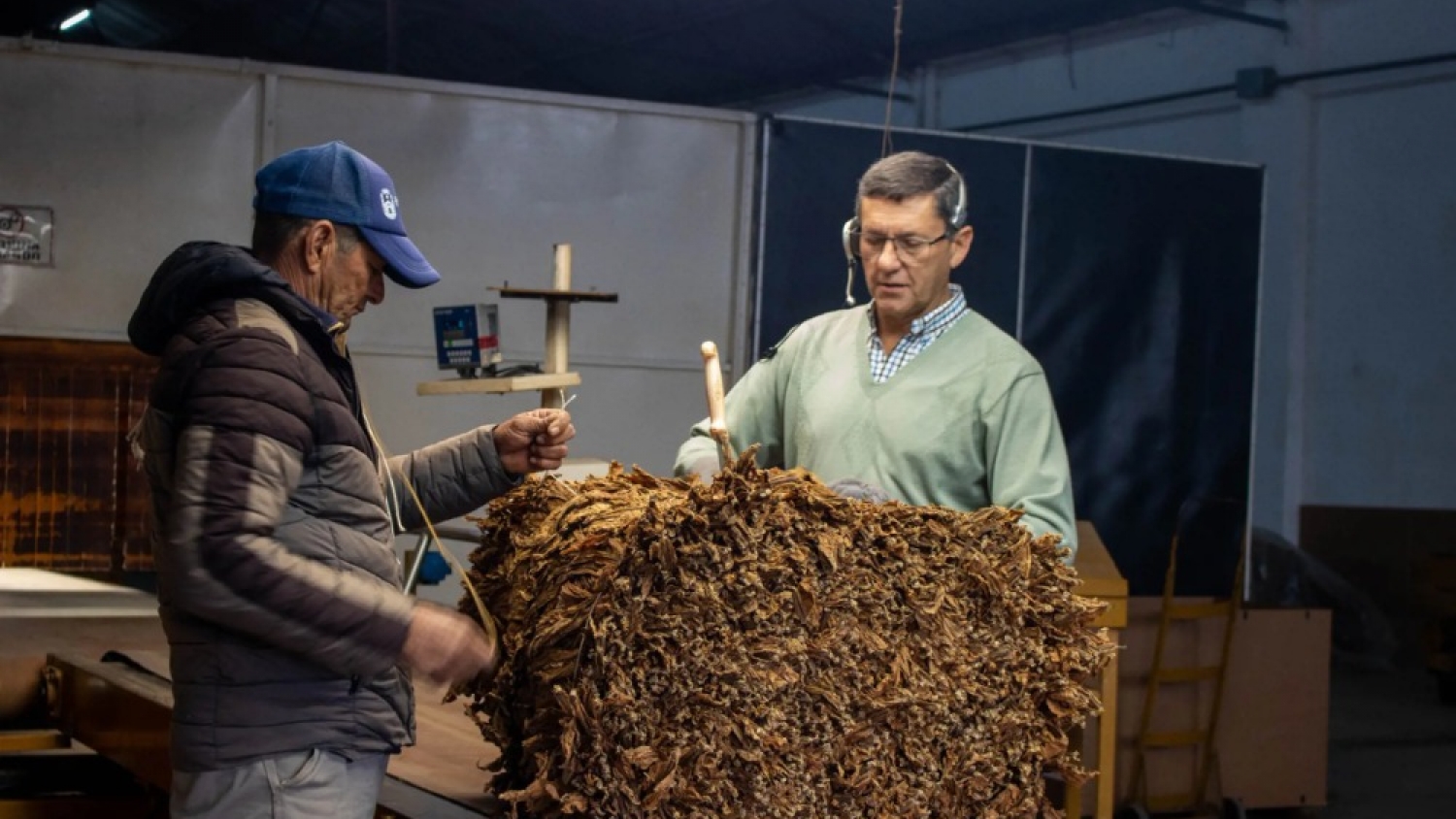 Corrientes cerró una campaña tabacalera con más de 1,2 millones de kilos acopiados y un impacto económico superior a los $2.295 millones