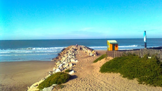 Mar de Cobo: el pueblo de Buenos Aires donde el bosque llega al mar