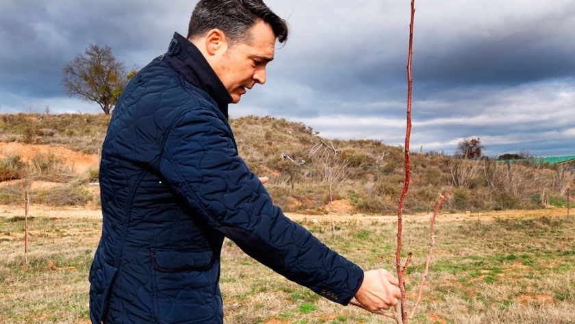 La Rioja descubre el pistacho