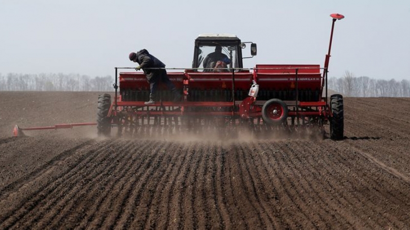 Clima seco complica la siembra de cereales de invierno en Rusia y Ucrania