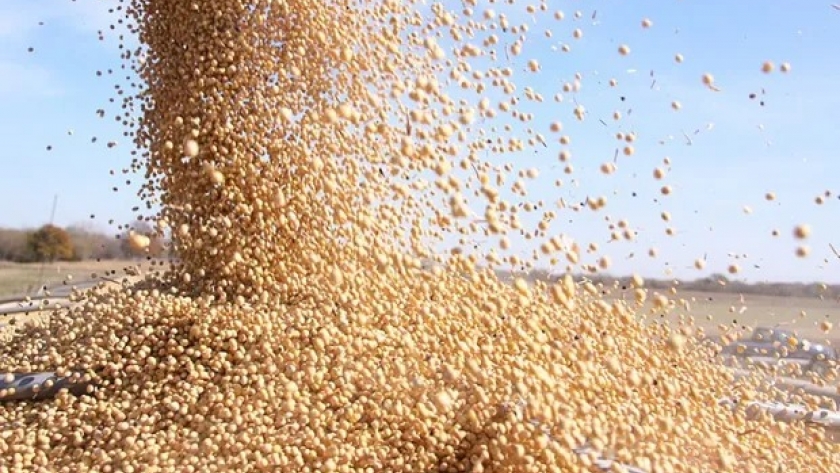 Suba en los mercados agrícolas por la invasión a Ucrania