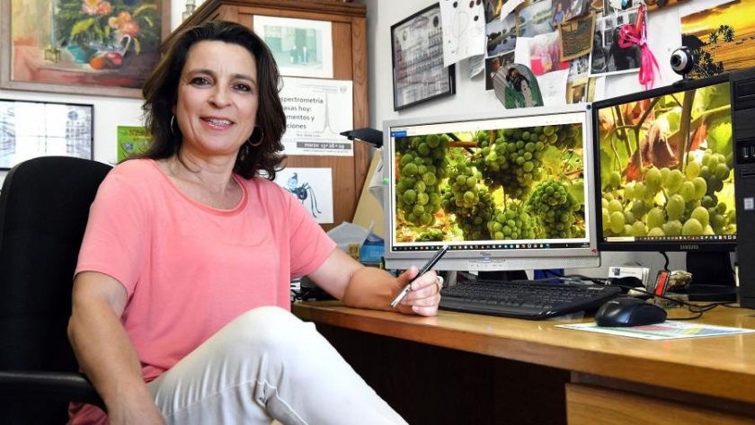 Reducir el uso de antibióticos en animales gracias a la uva blanca Albariño