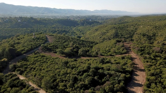 Tensión en Córdoba por el ordenamiento del bosque nativo: el reclamo de los productores rurales