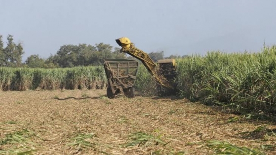 Industriales, cañeros y trabajadores coincidieron en la productiva zafra 2024