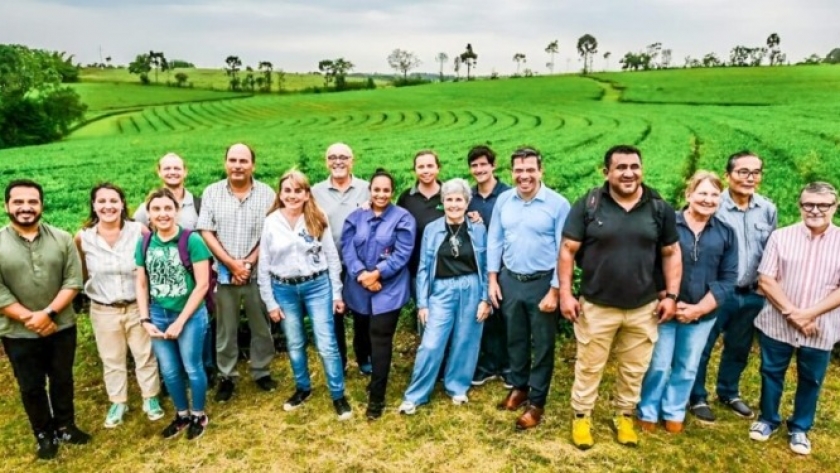 Agro: Misiones logra la indicación geográfica del té