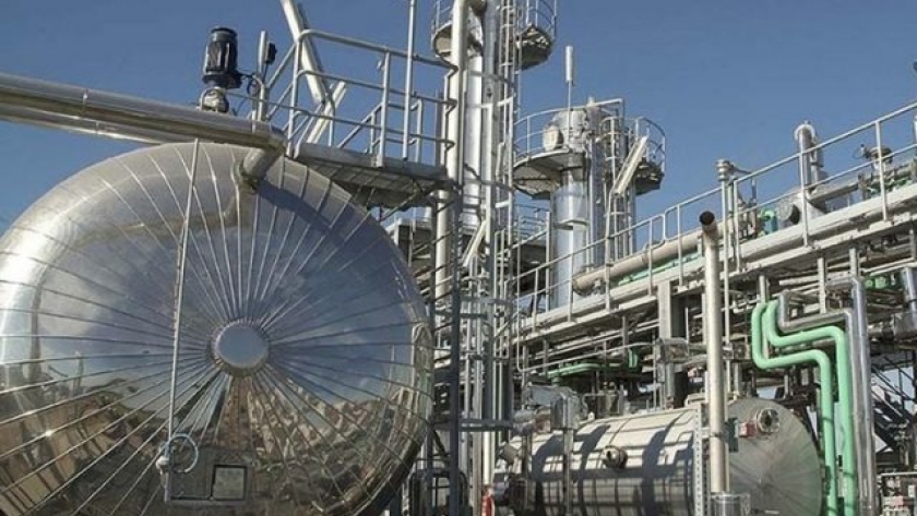 Biocombustibles: 5 provincias buscan equilibrio y competencia