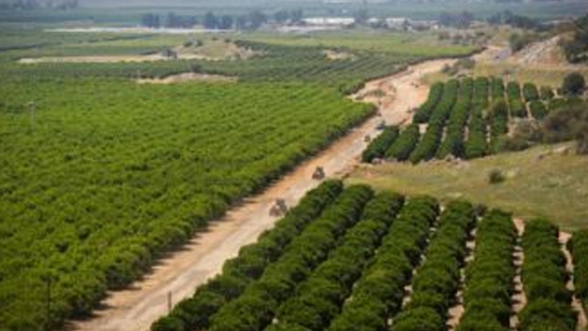 La teoría ecológica proporciona conocimientos sobre el uso de plaguicidas en la agricultura
