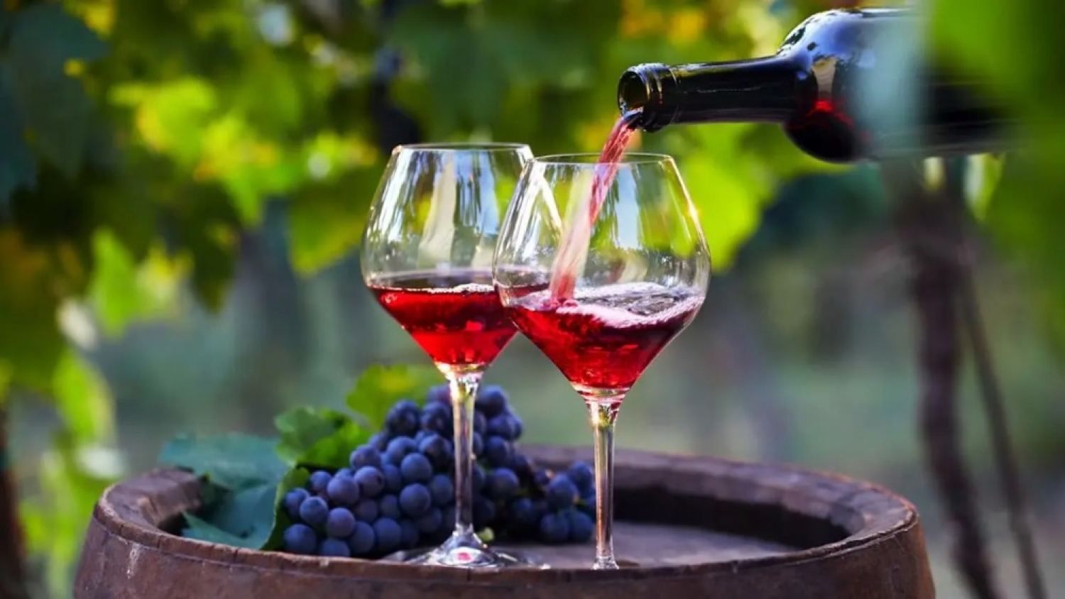 Las exportaciones de vino tocaron piso en 2025 y el sector enfrenta un 2026 de ajuste y cautela