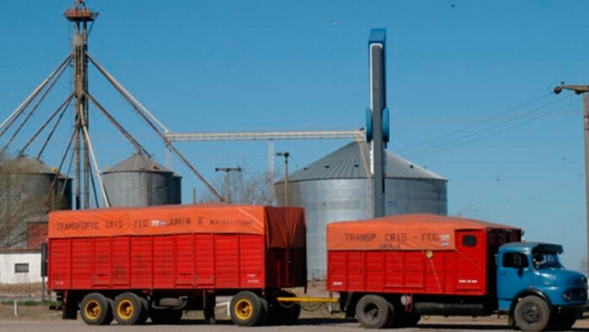 Nueva disposición del Senasa para el traslado de productos vegetales 