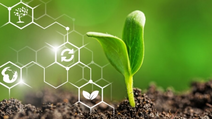 Innovación verde: las AgTech líderes transforman la agricultura global