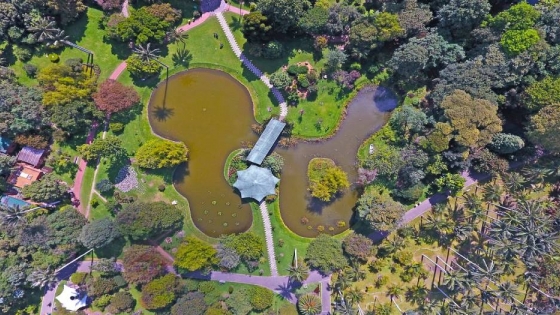 Jardín Botánico de Bogotá: una ciudad verde 