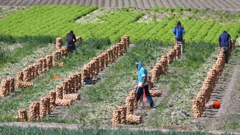 La provincia perdió en una década más de 3.000 fincas