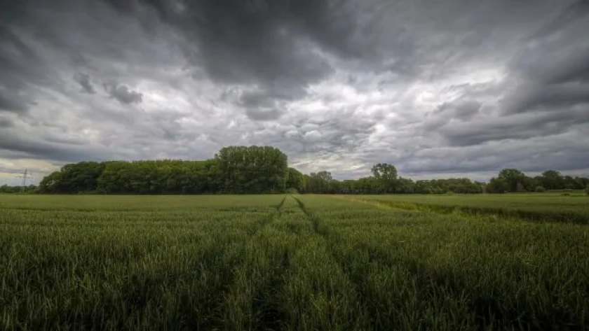 Lluvias que reviven la esperanza del campo: de la desazón al alivio productivo