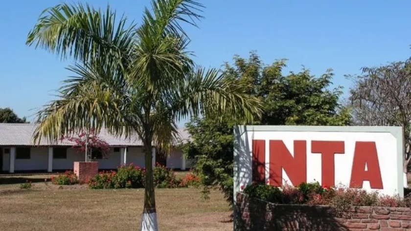 Polémica en el INTA por las elecciones: un apoyo a Massa generó repudió de la dirigencia rural