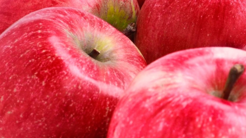 Cómo cosechar las manzanas en tiempos de pandemia