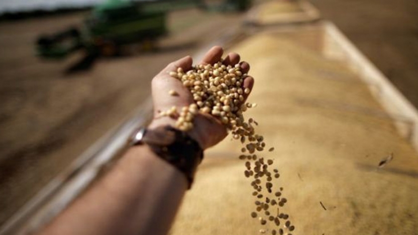 Brasil reduce a cero arancel de importación de maíz y soja