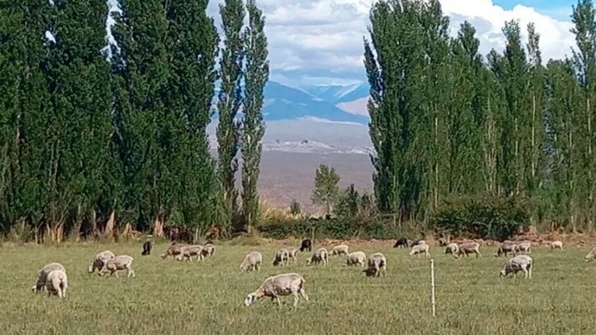 Criar en medio de un paraíso