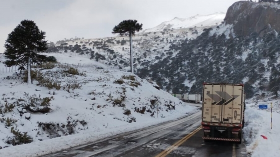 Camiones varados en Chile: transportistas piden a Aduana y Senasa que agilicen el paso por Neuquén