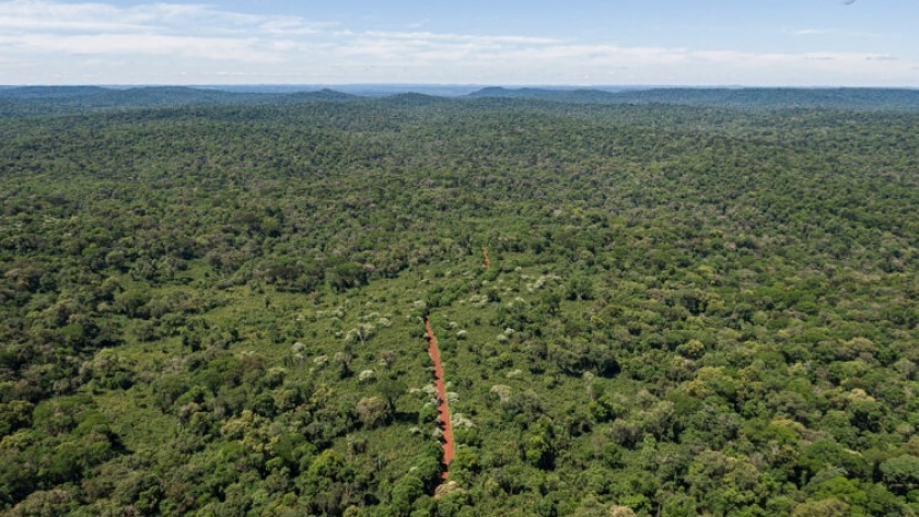 En Argentina Carbon Forum expondrán el potencial del sector agrícola y forestal nacional en el mercado de carbono