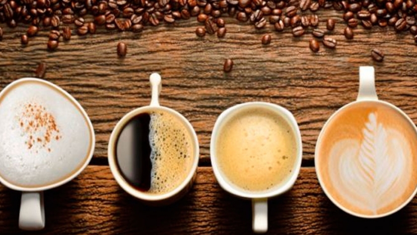 El café y sus variedades