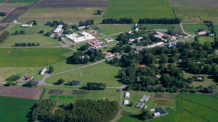 Se instaló una plataforma experimental de medición de emisiones de gases de efecto invernadero en el INTA Balcarce