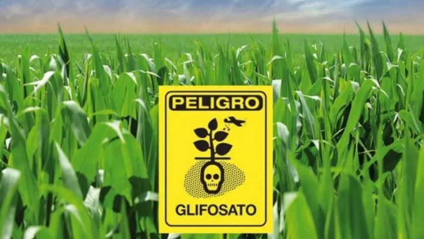 Exigen prohibición de importación y uso del glifosato en suelo mexicano