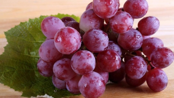 Semillas de uva de 600 años confirman historia del Pinot Noir