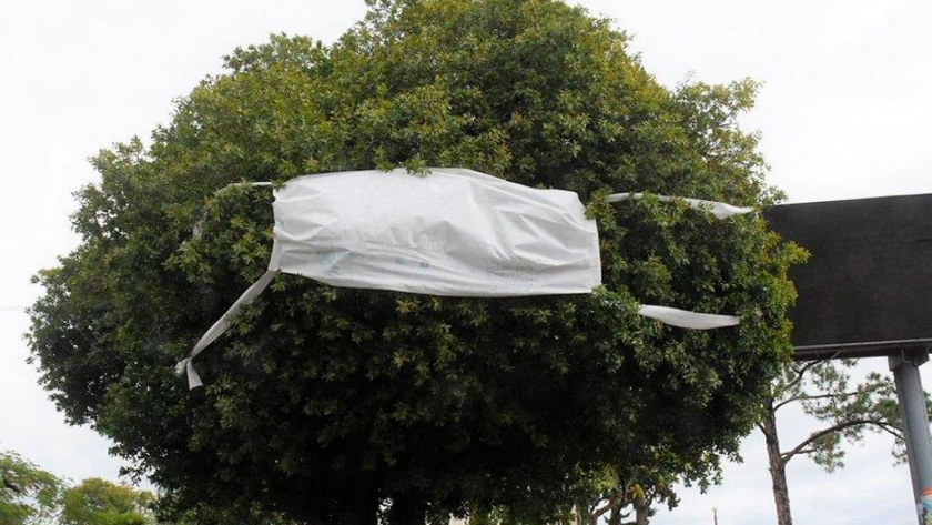 Con barbijos gigantes en los árboles convocaron a tomar conciencia ambiental