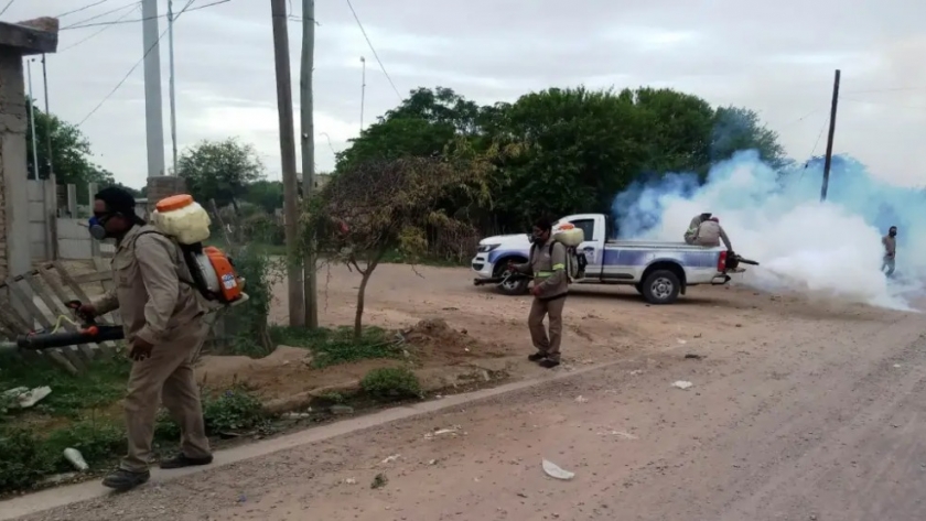 El municipio avanza con su programa de fumigaciones
