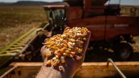 ¿Con cuántos quintales se cubren los costos de trigo, soja, maíz y sorgo?