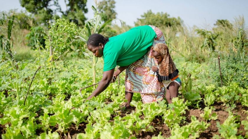 África: nace una carta sobre agroecología