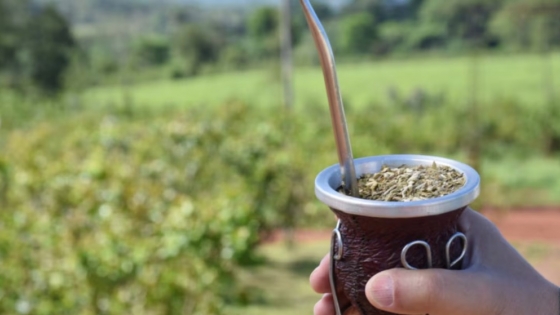 Yerba mate: el consumo interno repuntó y las exportaciones impulsaron un crecimiento del 2,5% en 2026
