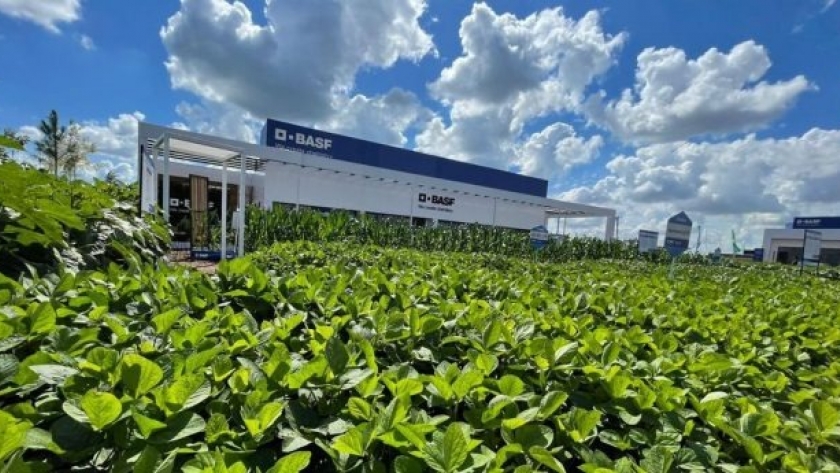 BASF en Expoagro: moléculas, semillas y digitalización transformadoras