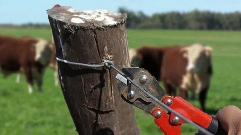 La provincia realizará una conferencia virtual sobre seguridad rural y tecnologías para combatir el abigeato