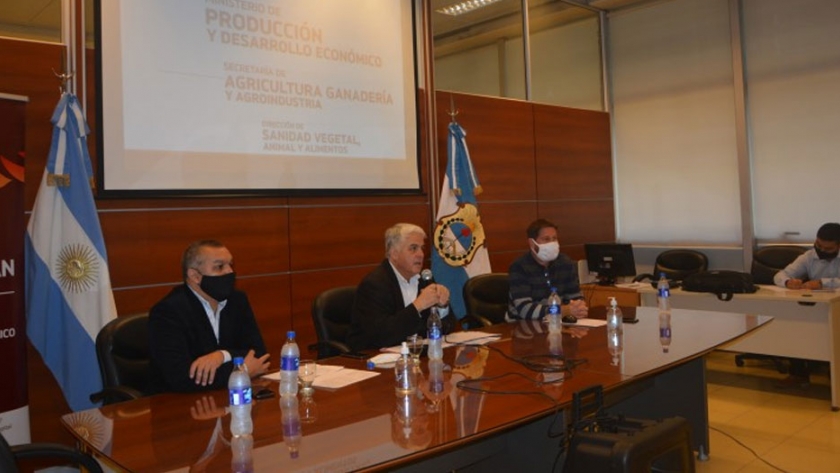 Presentaron los programas de lucha contra lobesia botrana y mosca de los frutos