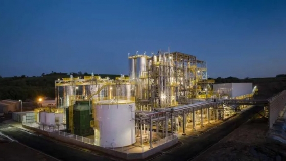 Científicos Brasileros descubren como hacer más eficiente la conversión de bagazo en etanol