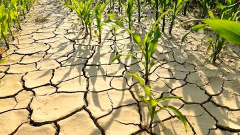 "Debemos acostumbrarnos a convivir con la variabilidad climática"