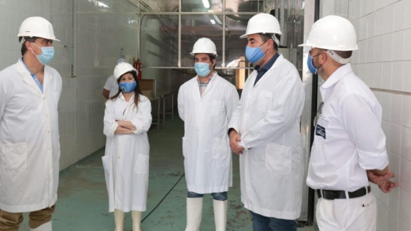 Exportación caprina: sale el embarque hacia Bahamas