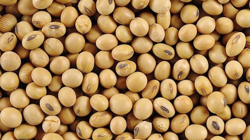 Agricultura mejora el funcionamiento de la plataforma SIOGranos