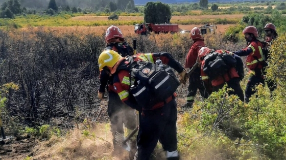 Luego de un rápido accionar, se logró circunscribir incendio en la zona de Los Cipreses