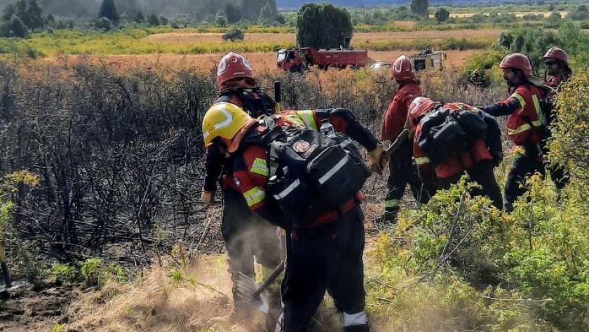 Luego de un rápido accionar, se logró circunscribir incendio en la zona de Los Cipreses